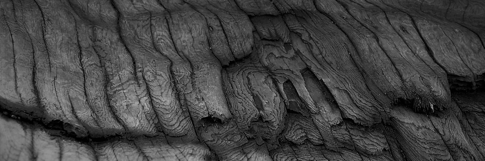 MatthewCoyFord's profile banner image