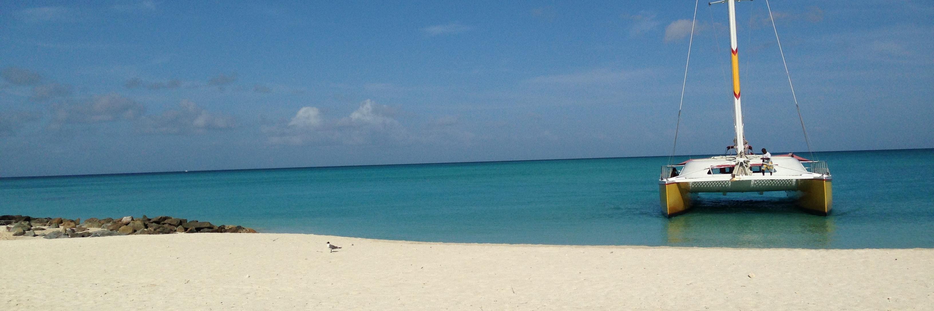 Leanne Doherty banner