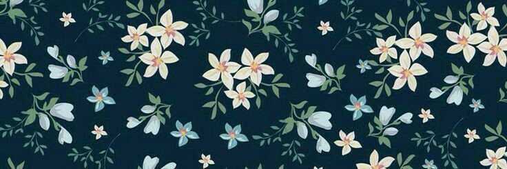 Mescalin_aa's profile banner image