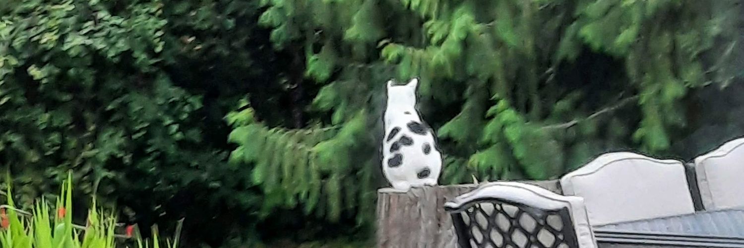 Rena Milare 🇺🇸 #NotGoingBack banner