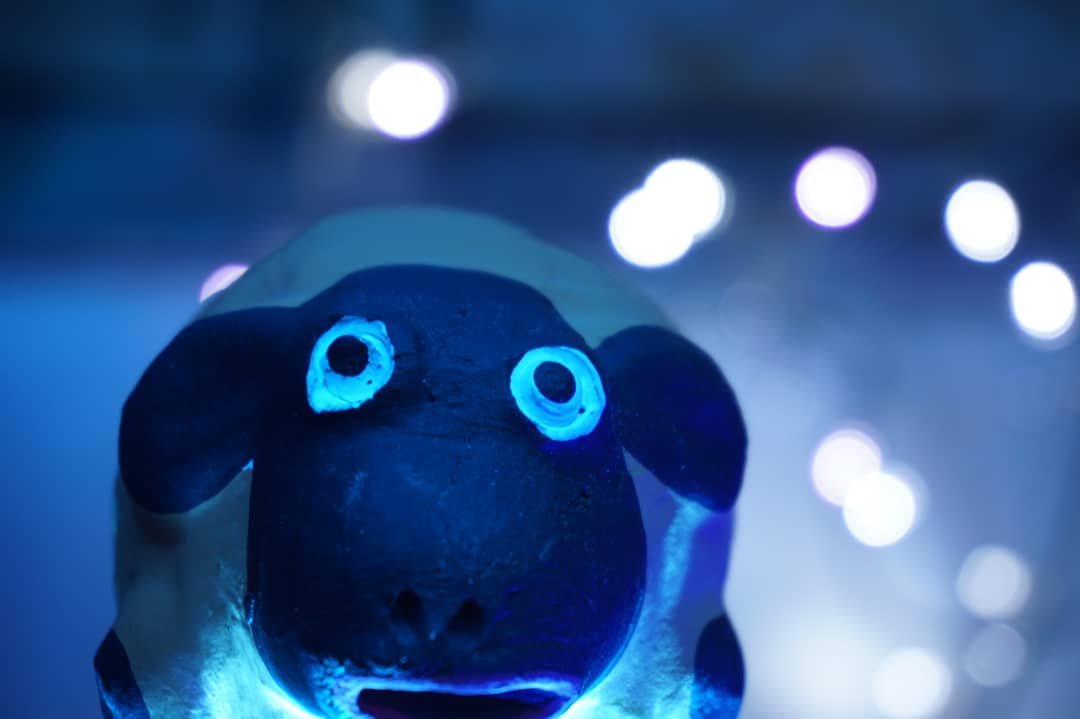 wiji_s's profile banner image