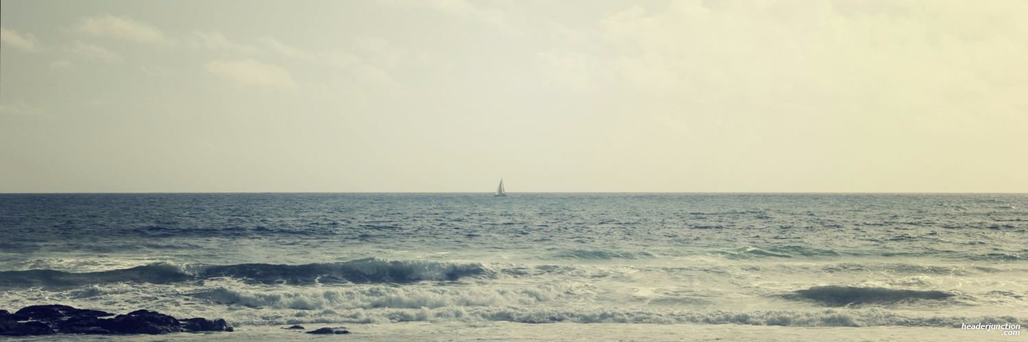 sci_ents's profile banner image