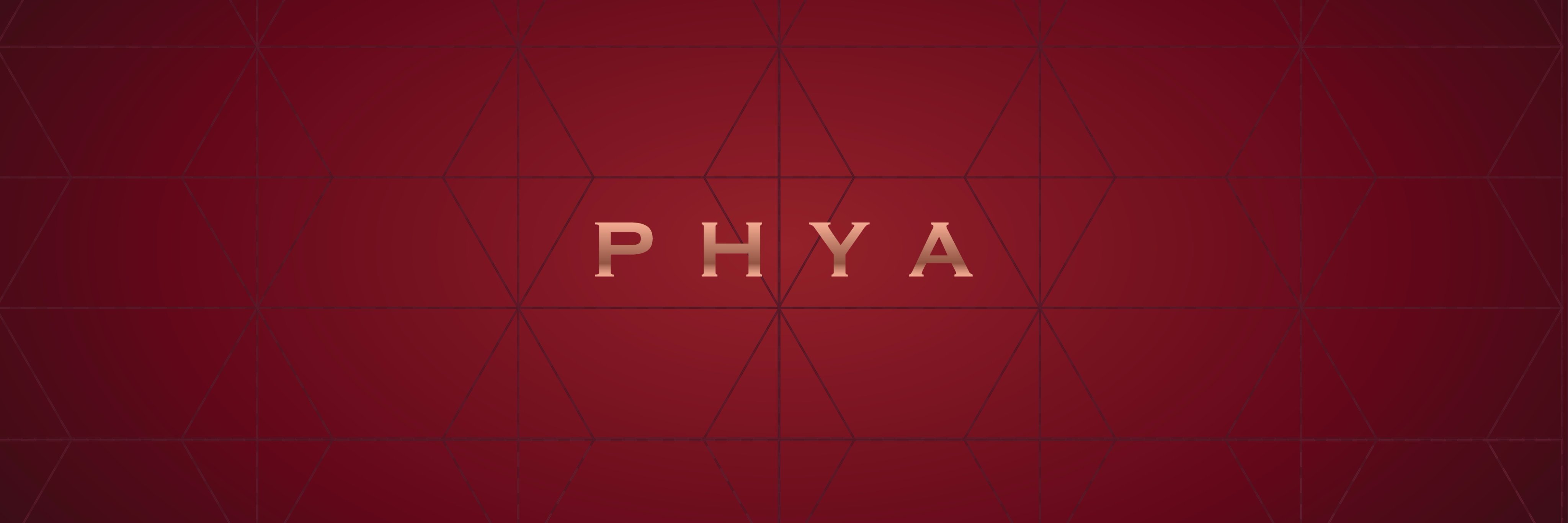 phyaphilo's profile banner image