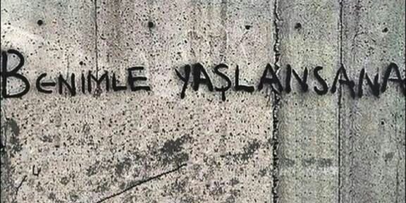 yesyanievet's profile banner image