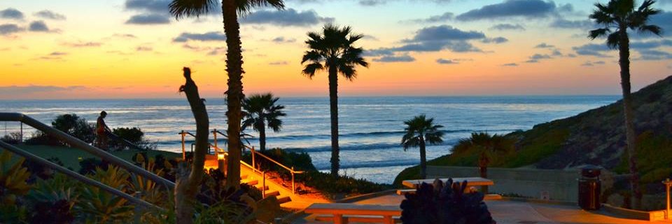 SolanaChamber's profile banner image