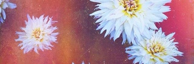 aeballanger's profile banner image
