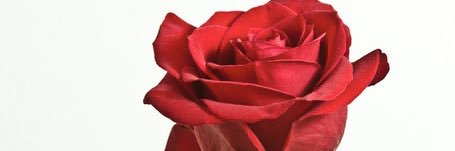 tarar6178's profile banner image