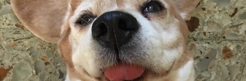 JulianBarroso4's profile banner image