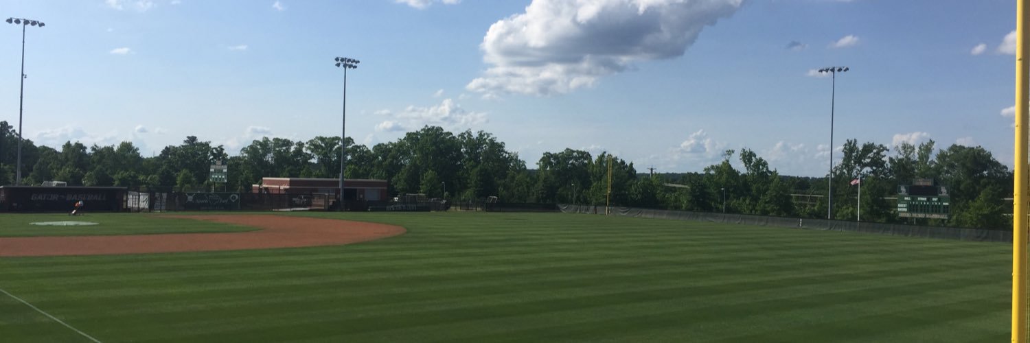 Gator Baseball banner