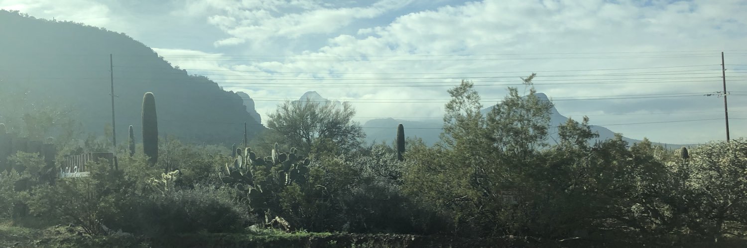 Martha Bishop banner