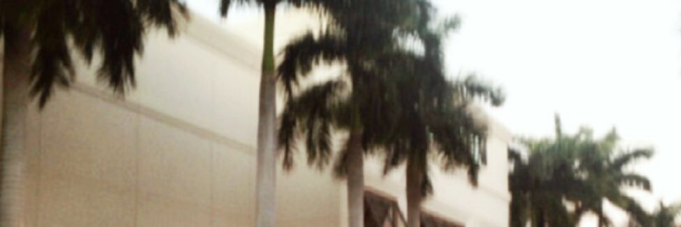DolanMarket's profile banner image