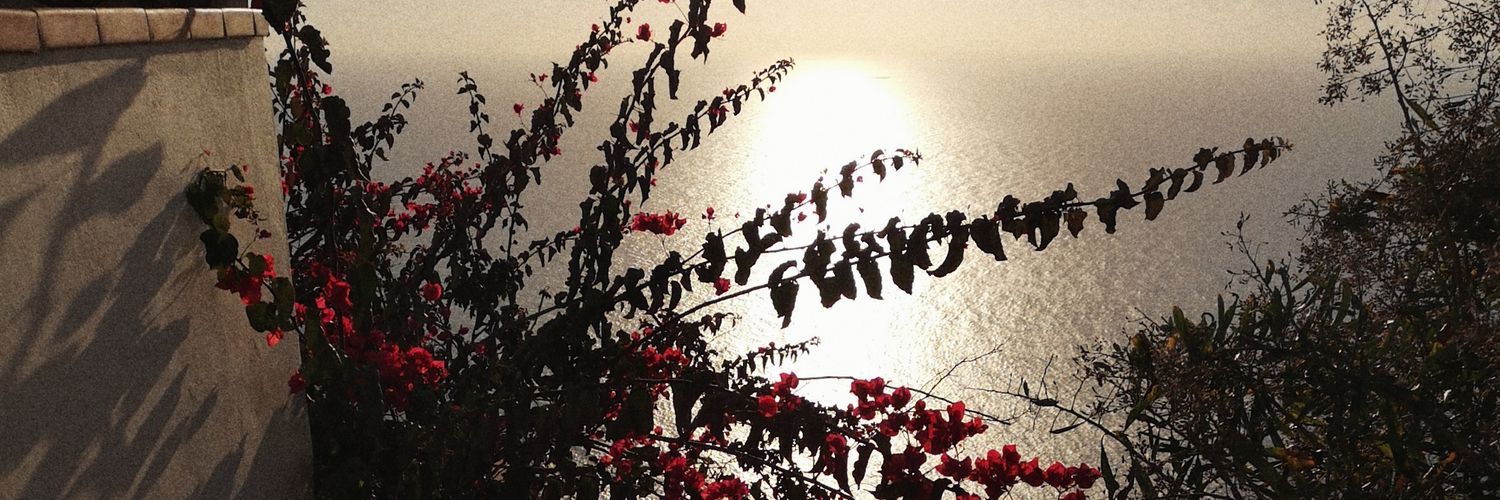 Gemmaherdz's profile banner image