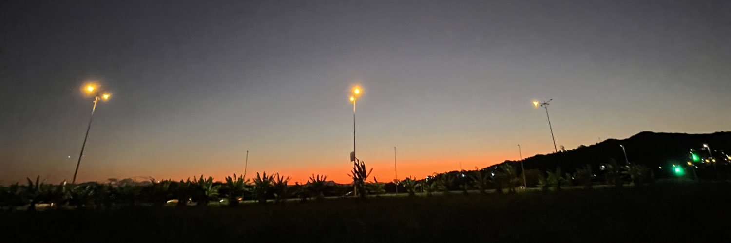 BiDolores's profile banner image