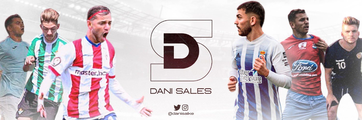 Dani Sales banner