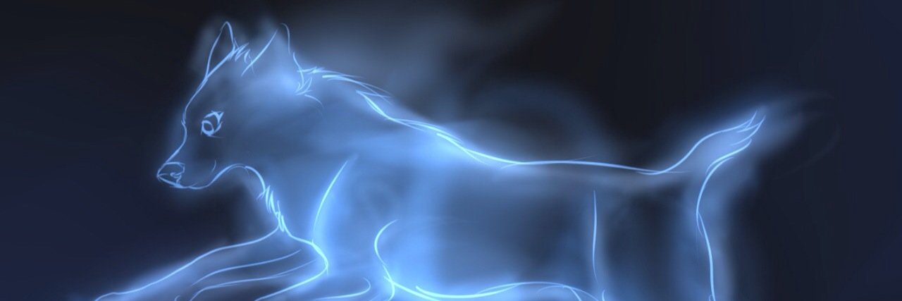 ariel_delcas's profile banner image