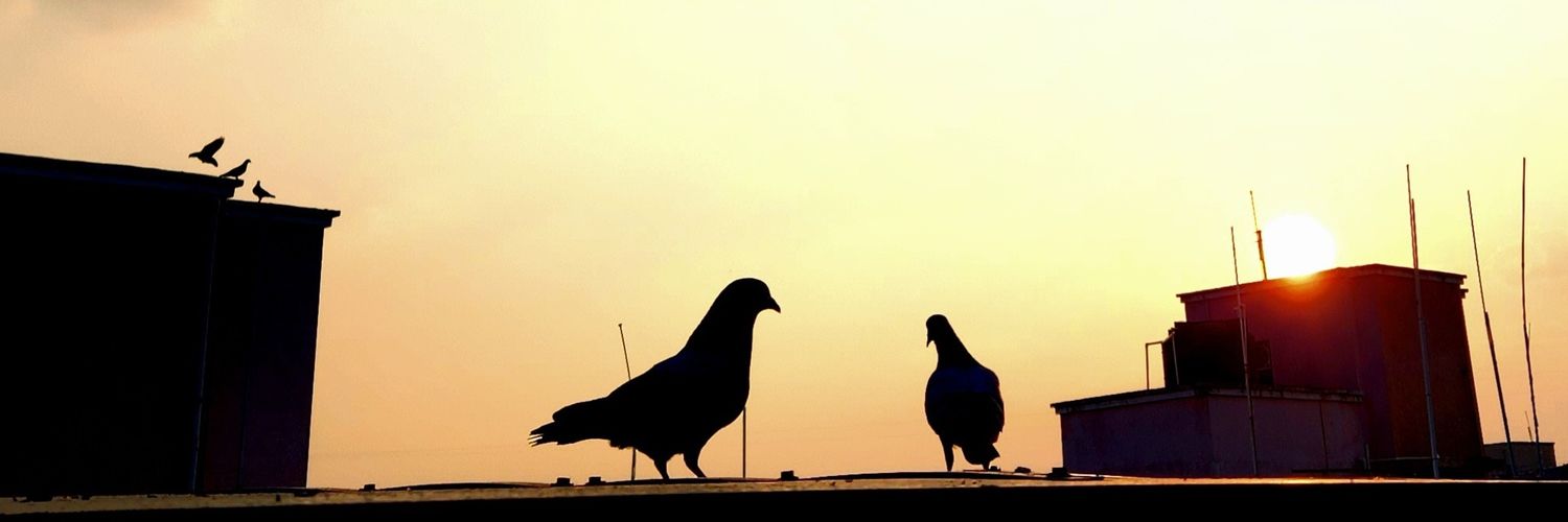 inktuniverse's profile banner image
