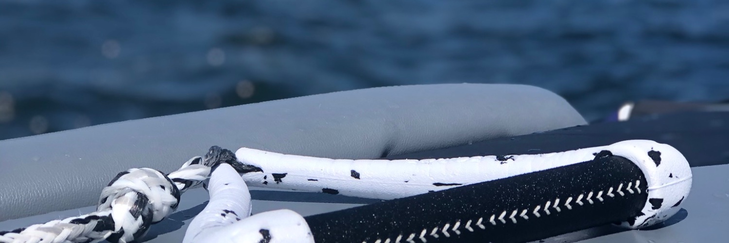 Alison Goergen banner