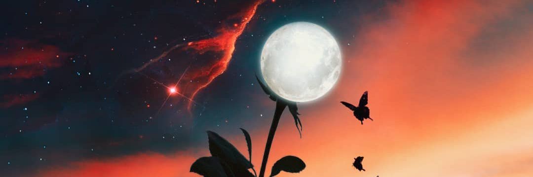 Rei_Allen27's profile banner image