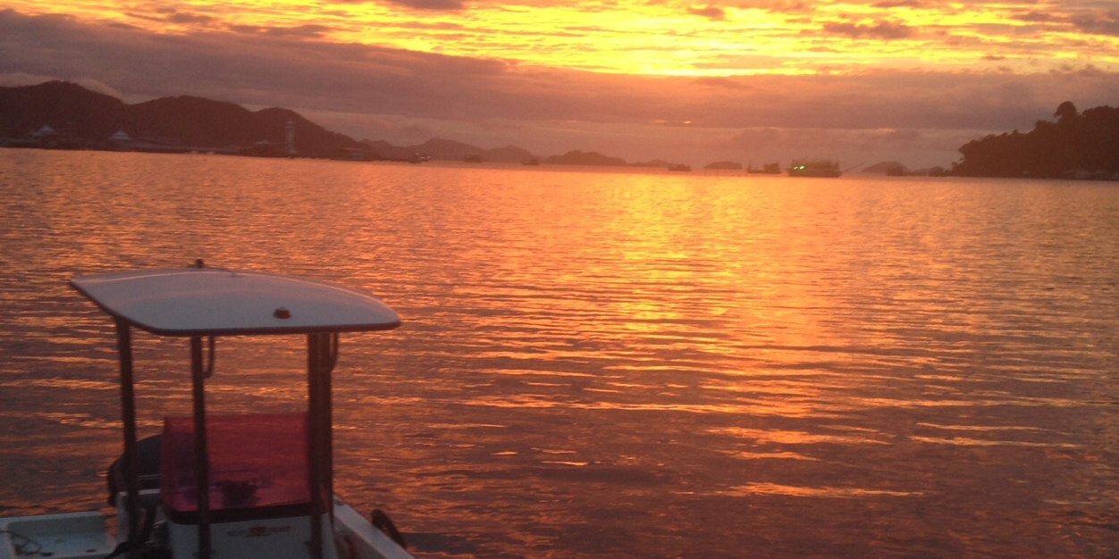 Shane McAloon banner