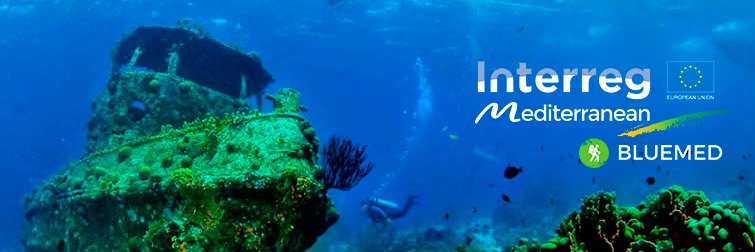BLUEMED banner