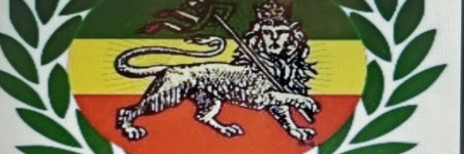 RmukCic's profile banner image
