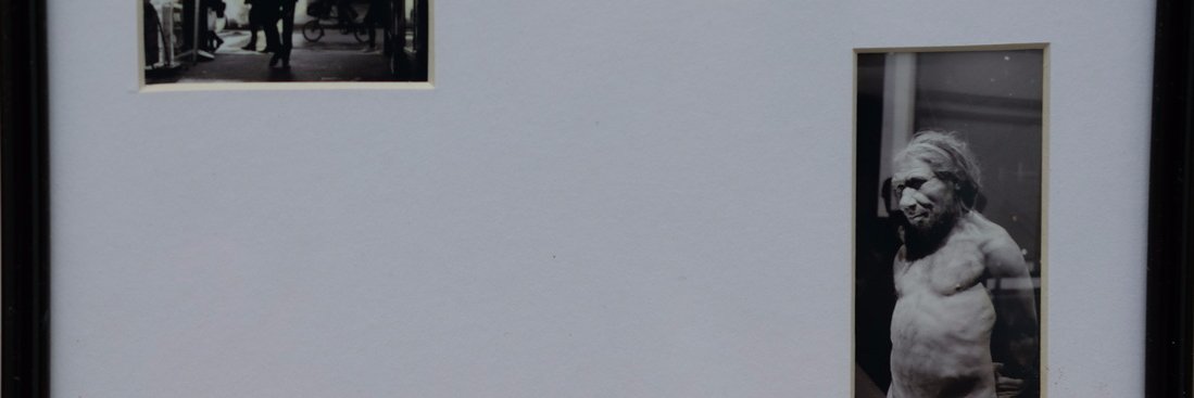 5537 Fernando H C banner