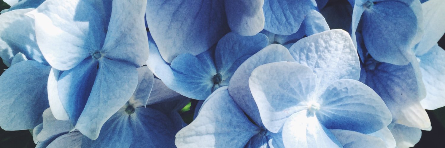 MelanieTetzner's profile banner image