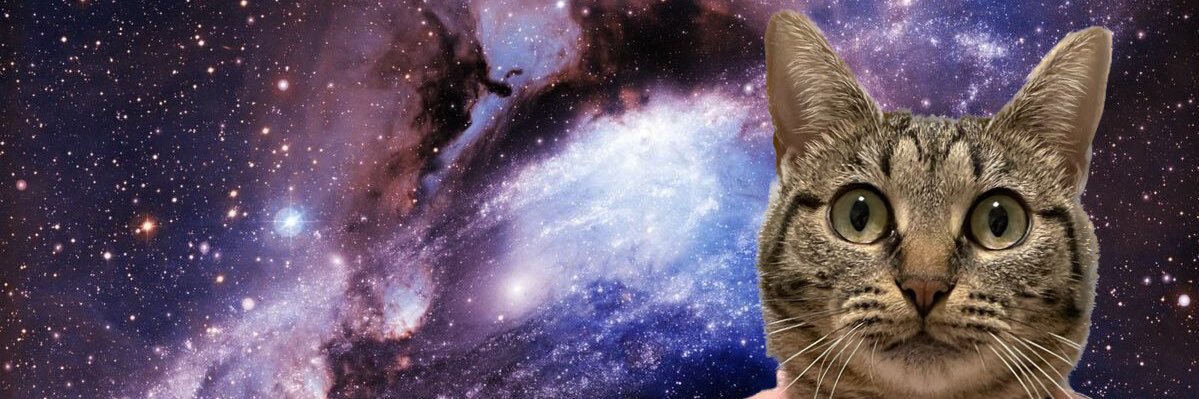 wkwk_sun's profile banner image