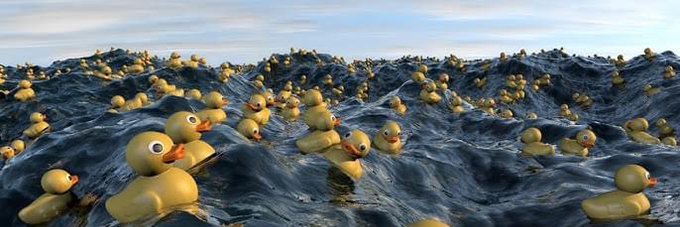 ☢🙃PanDeMiś🥳☣ banner