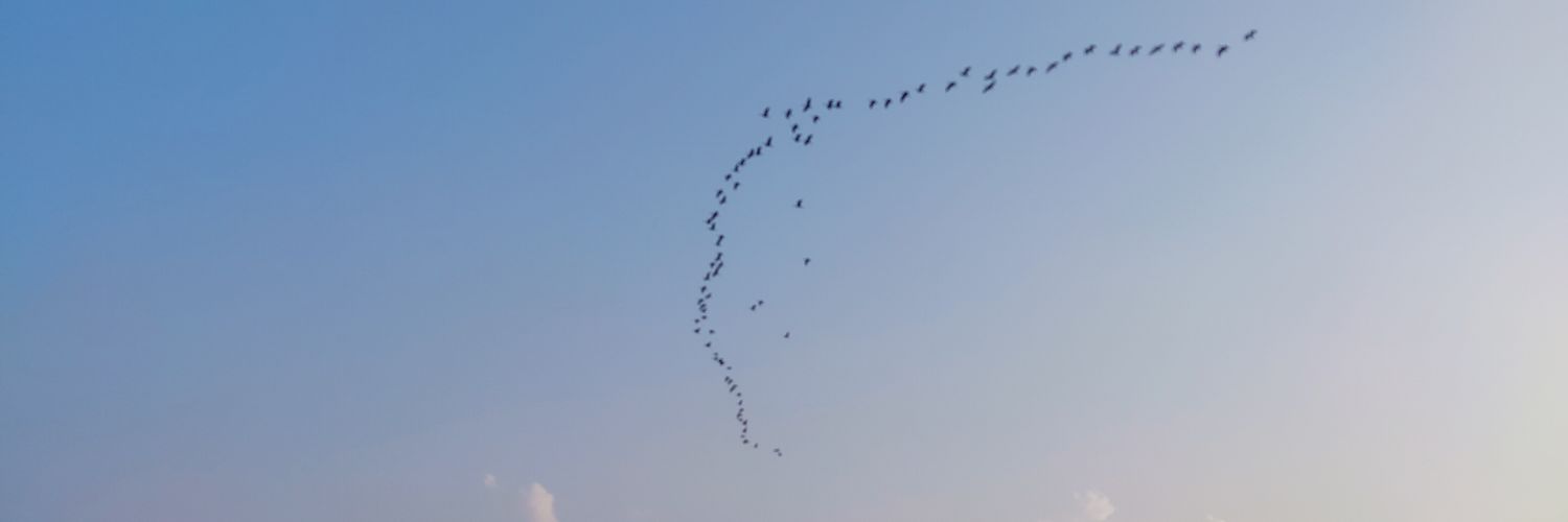 jsifti's profile banner image