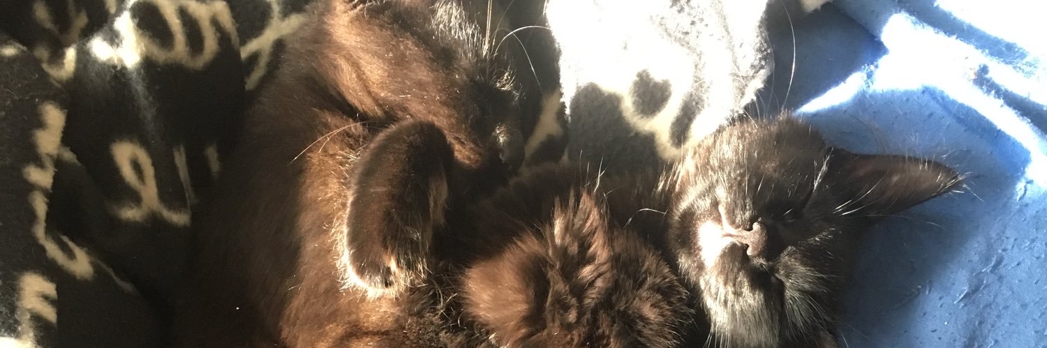 LittleBadGirlJG's profile banner image
