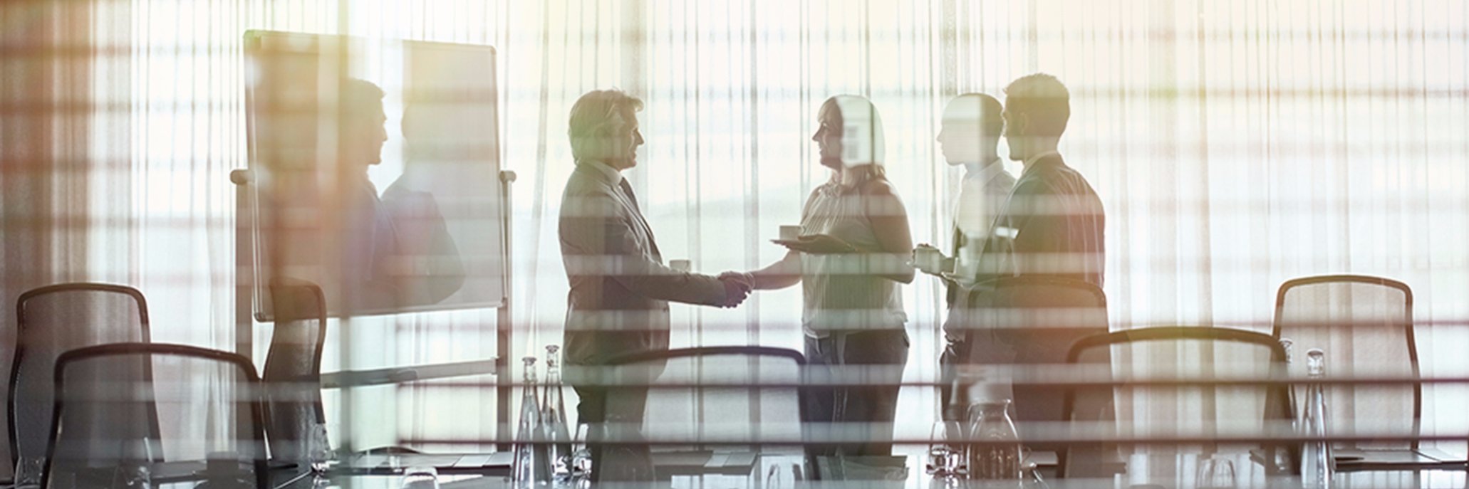 Nabriva Therapeutics banner