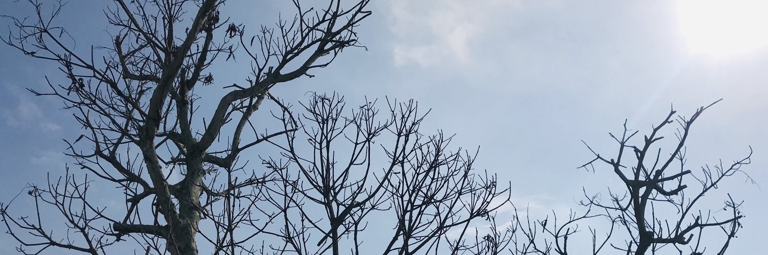 huzbaha's profile banner image