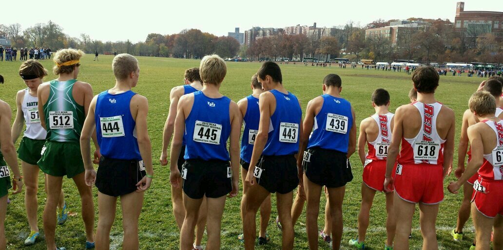 Todd Witzleben banner