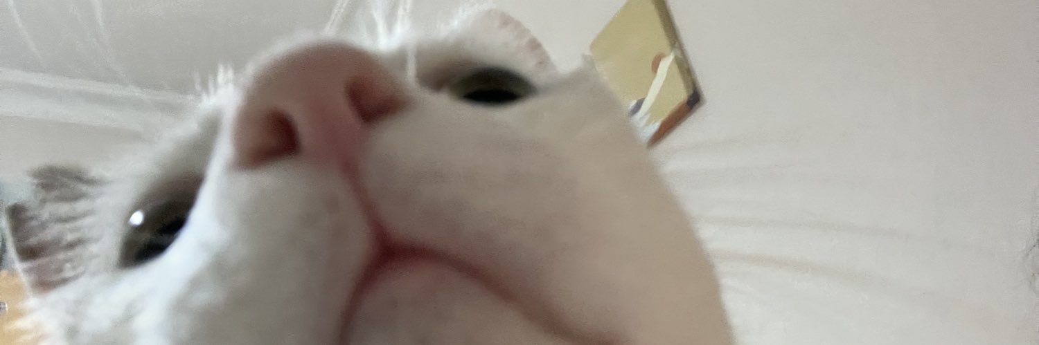 dygukrr's profile banner image