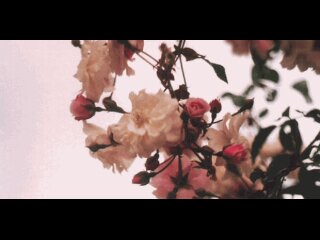 maslowTini's profile banner image