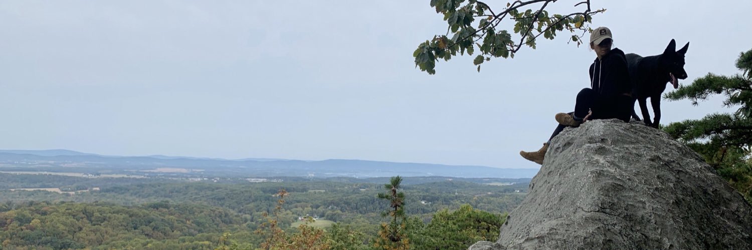 Elizabeth Howe banner