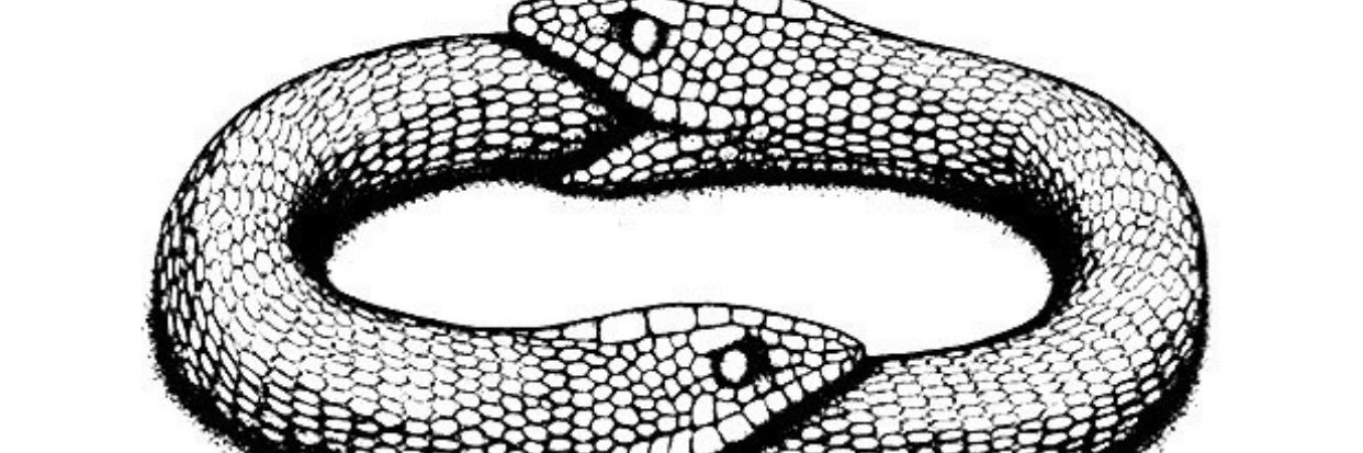 lecomontuori's profile banner image