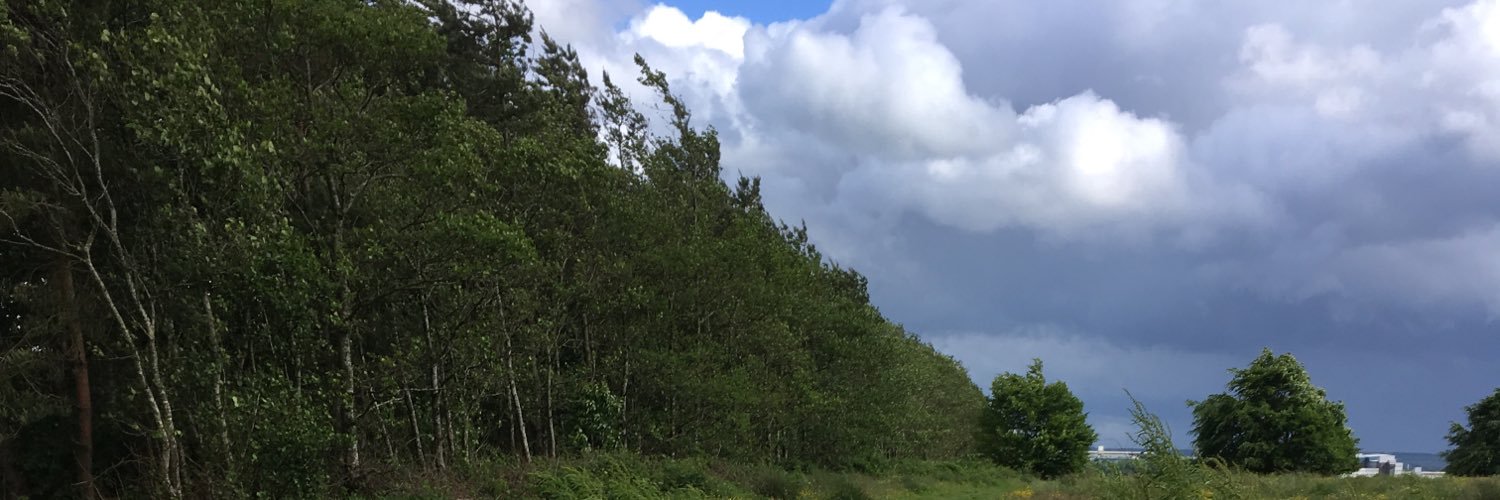 Robert Mooney banner