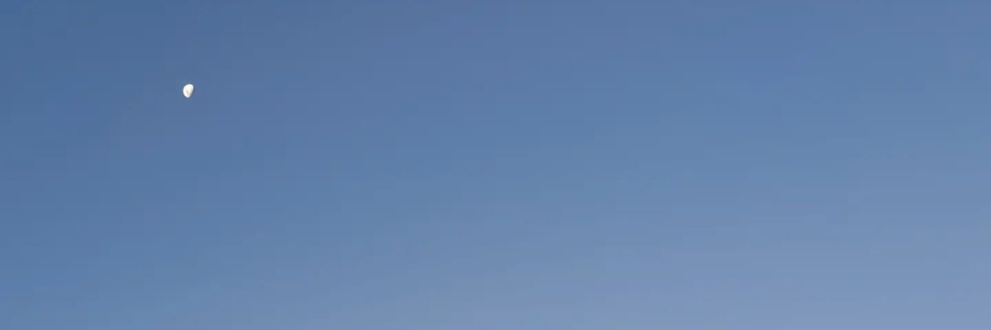 Ariifritzler_'s profile banner image