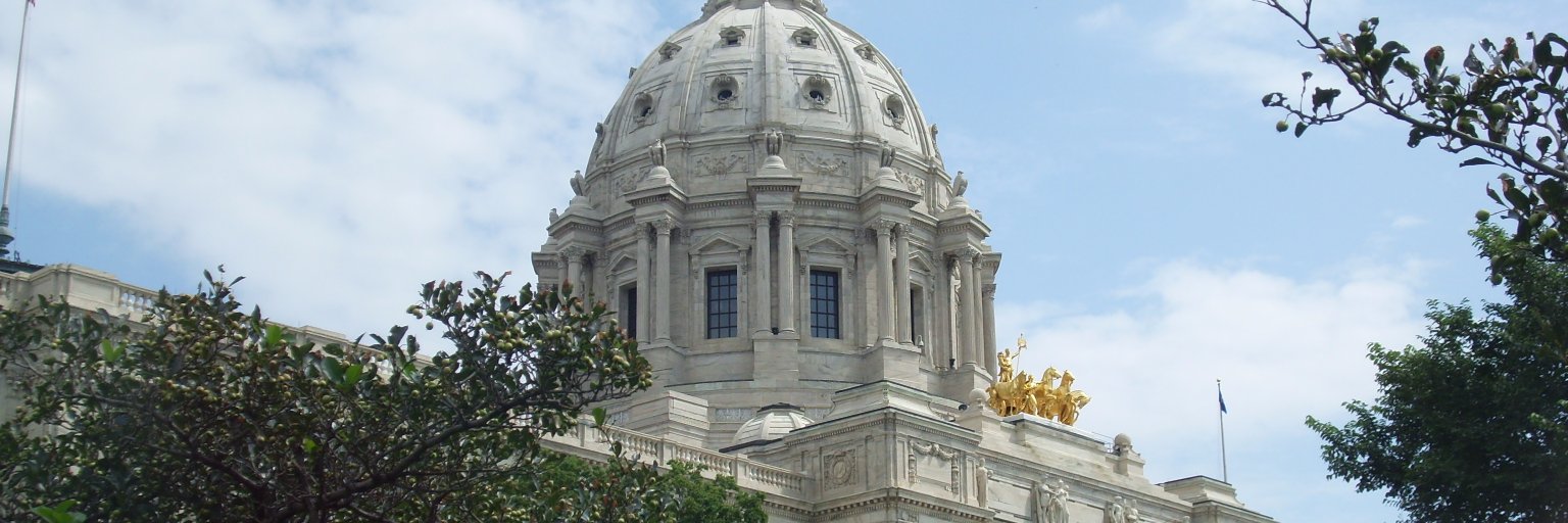 Senator Mark Johnson's banner