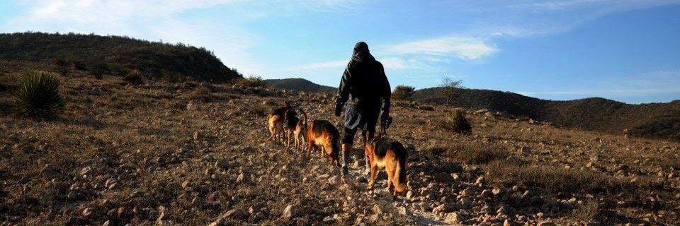 parchado's profile banner image