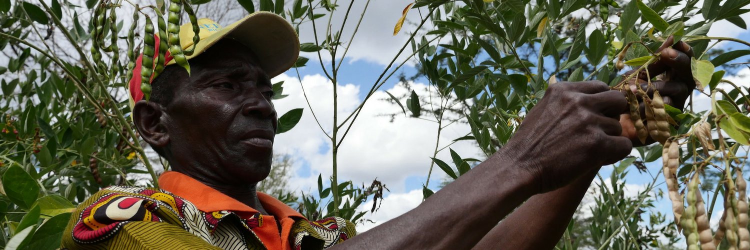 LeprosyMissionProgrammes banner