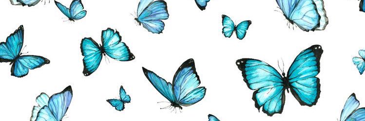 AnneDollekens's profile banner image