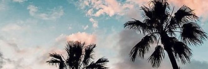 TaylorSimon14's profile banner image