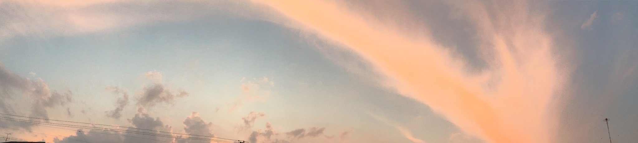 header image