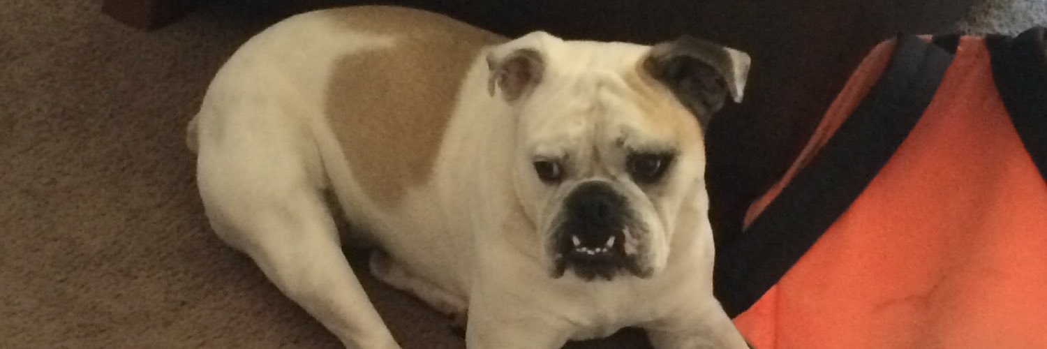 HayleeWiz's profile banner image