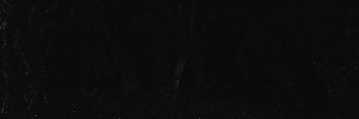 cyl. banner