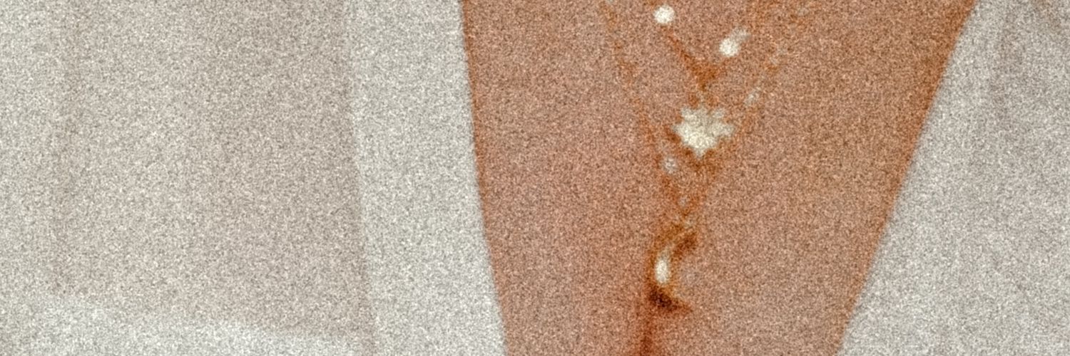 lauraftmt's profile banner image