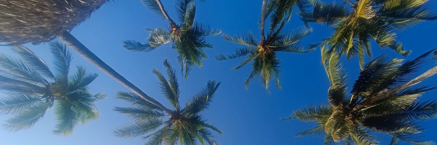 Seba_dlabarca's profile banner image